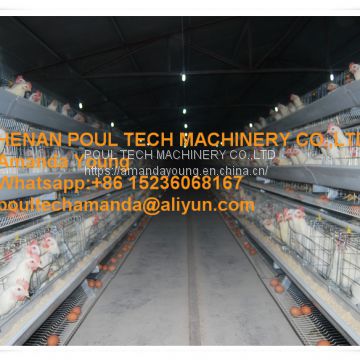 Guyana Poultry Farming - A Type Battery Breeding Chicken Cage & Layer Breeder Cage Used in Chicken House