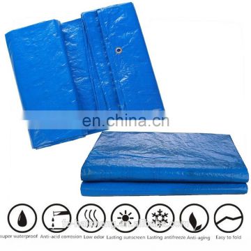 500D--900D light duty PE tarp with customized size and color for any cover purpose