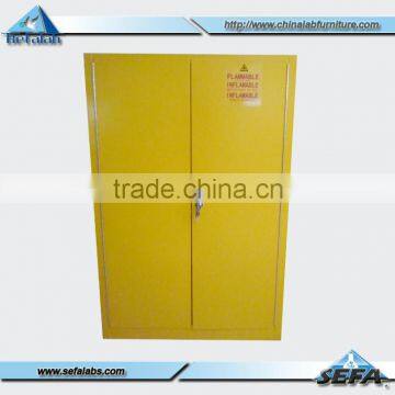 Modern Designs Chemical Safety Cabinet Flooe Mounted Structure Safety Cabinet