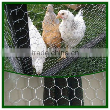 Hexagonal chicken wire Mesh/galvanized poultry wire mesh/hexagonal wire mesh