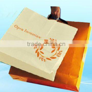 Eco-friendly hot sale customized paper shopping bag