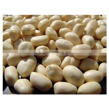 peanut kernels in China