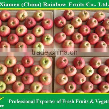 wholesale fruit prices
