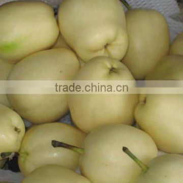 bagged su pear/white colour