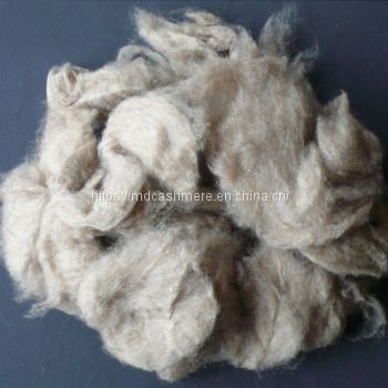 Mongolia light grey cashmere fiber 16.5micron