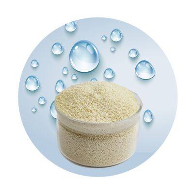 D201 Strong Base Anion Exchange Resin Polystyrene Ion Exchange Resin