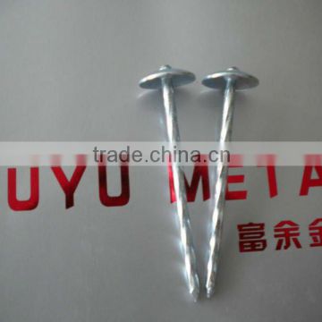 galvanized roofing nails with umbrella head/umbrella head nails /galvanzied roofing nail