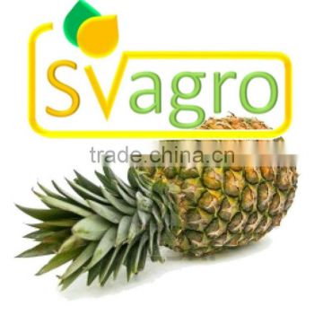 spray dried pineapple powder Price