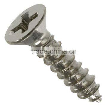 Cross recessed csk head stainless steel screws