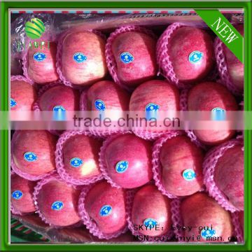 high quality red qinguan apples exporter big qinguan apples factory