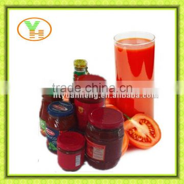 140g-700g tomato paste in the glass jar with good quality
