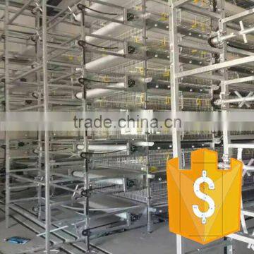H type Automatic Chicken cage for poultry farm