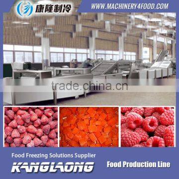 High Quality IQF Product Line With Good Price