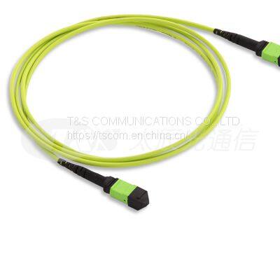 MTP/MPO TRUNK CABLE