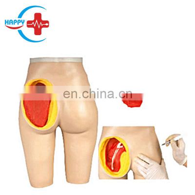 HC-S168 Human Anatomy Model Advanced hip muscle injection and anatomical model for medical training and teaching