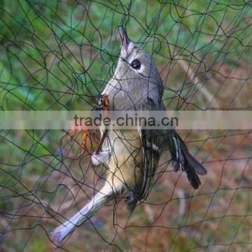 Bird capture net,mist net for catching bird                        
                                                Quality Choice