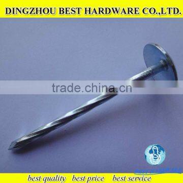 11 bwg galvanized corrugated roofing nail