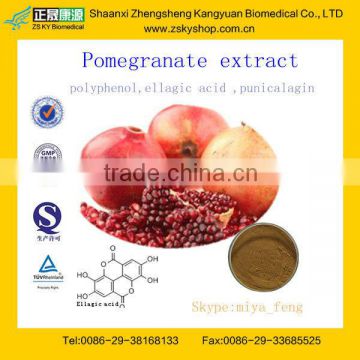 Hot Selling Pomegranate P.E. from GMP Manufacture