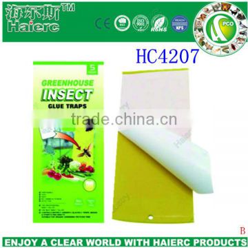 Fly catcher insect glue trap(HC4207)