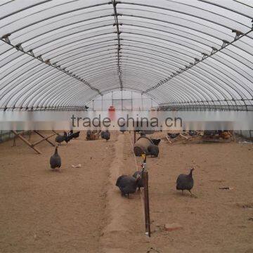 Low cost tunnel greenhouse for poultry farming equipment