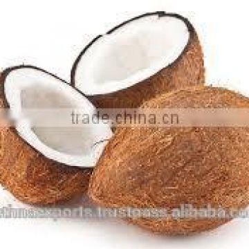 fresh coconut price in india