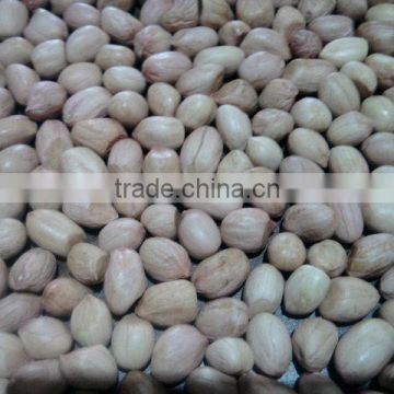 Java peanut kernel Pink skin