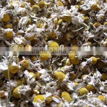 Dried Chamomile flower whole and TBC