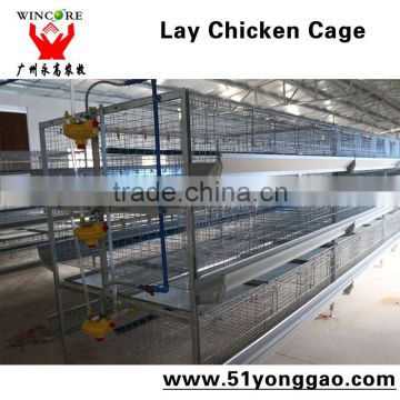 Poultry farm equipment automatic battery design layer chicken cage