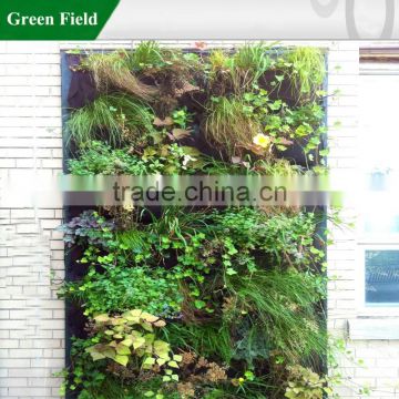 Green Field hydroponic system vertical garden