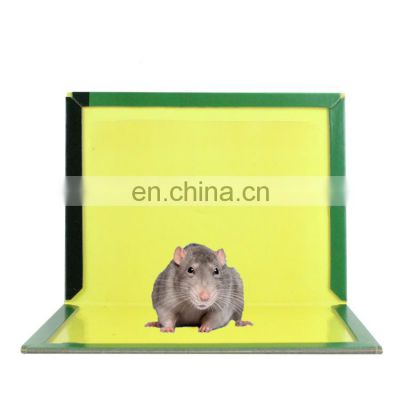 China Supplier Pest Control Rat Catcher Mouse Glue Board Mouse Sticker English Edition