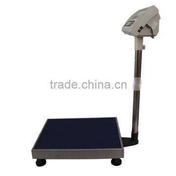 Blue Stainless Steel Platform Cattle Scale
