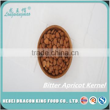 2016 new Crop Hebei Original apricot kernels 600-1200 pcs/500g