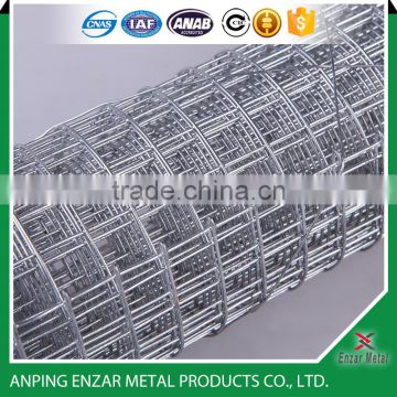 1/4 inch galvanized welded wire mesh rolls