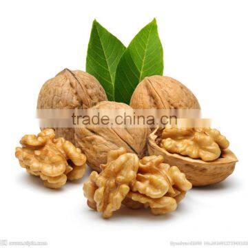 sell cheap price Walnut