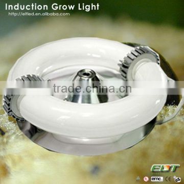 factory induction lamp and lighthouse hydro blackstar led grow light