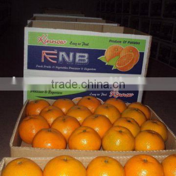 Mandarin Orange, Citrus fruit from Pakistan