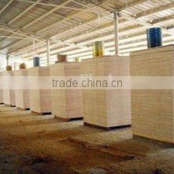 Factory supply poplarcore film faced plywood