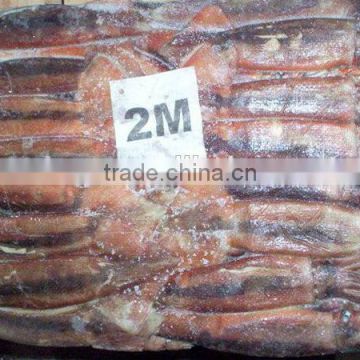 fresh frozen illex argentinus squid for sale