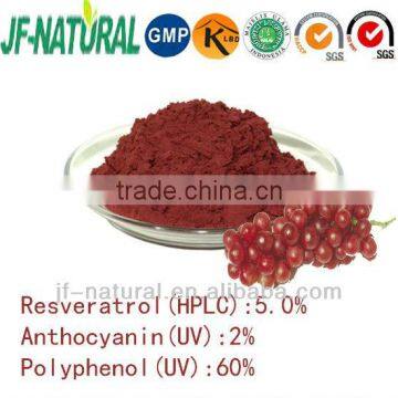 Resveratrol from grape skin GMP manufacturer