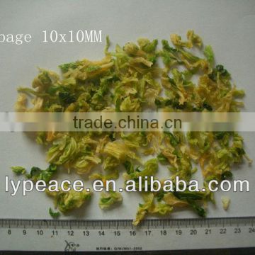 10x10mm dried cabbage flakes with price for world market