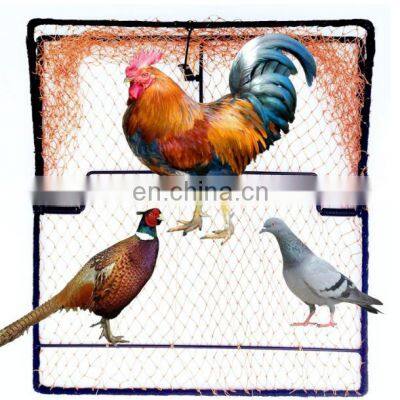 Bird Trap Pigeon Sparrow Quail Starling Chicken Cat Rabbit Live Animal Control Spring Traps Snares for Trapping