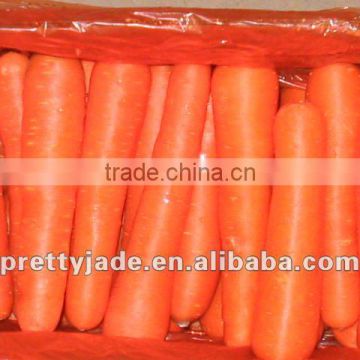 2014 new chinese fresh carrot