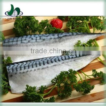 Good price and quality indonesia mackerel fish
