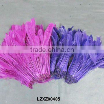 PURPLE stripped coque feathers LZXZ00485
