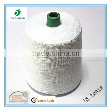 White 100% Spun Yarn Polyester for Product Knitting 30s/1