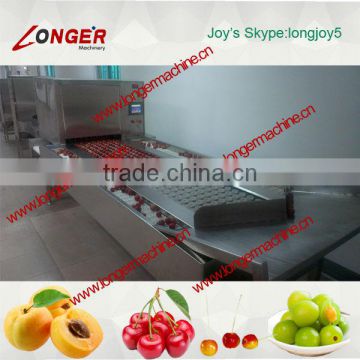 High quality fruit/green plum pit removal machine