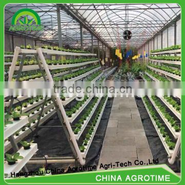 Greenhouse hydroponics systems table for sales