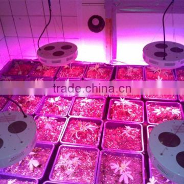 45x3w led greenhouse grow light for medical plant