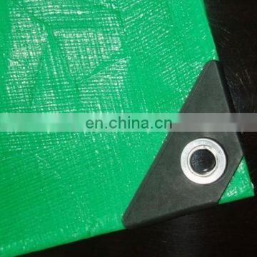 PE Tarpaulin with 60g to 270g GSM,plastic sheet