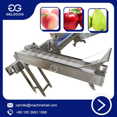 Stainless Steel Commercial  Fruit Sorting Machine Price Equipment For Grading Of Fruits And Vegetables 